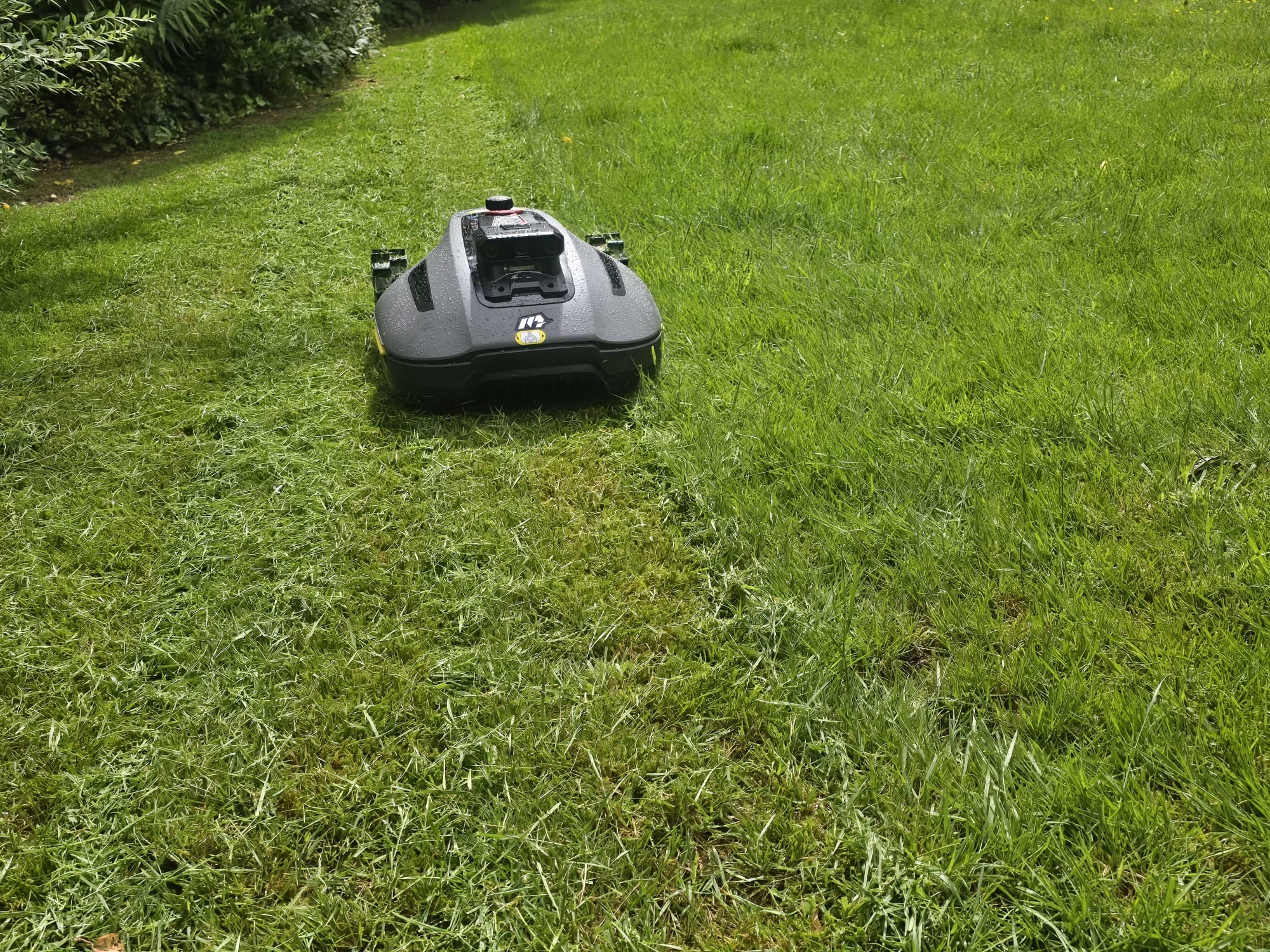 Close-up of the robot mower on rain-speckled grass